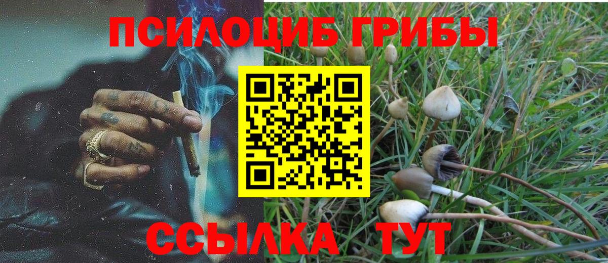 Псилоцибиновые грибы ЛСД Заводоуковск