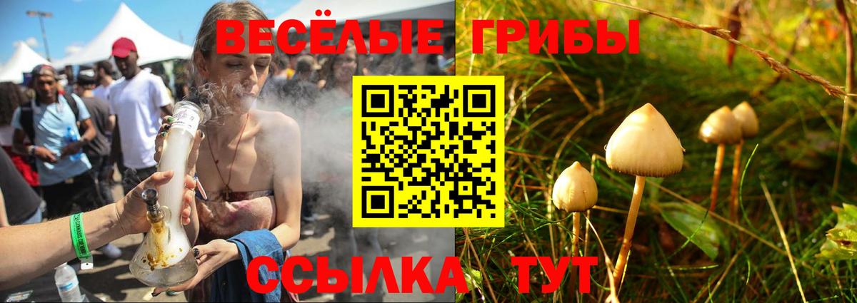 Заводоуковск  Галлюциногенные грибы GOLDEN TEACHER  Галлюциногенные грибы Magic Shrooms  Вход с VPN 