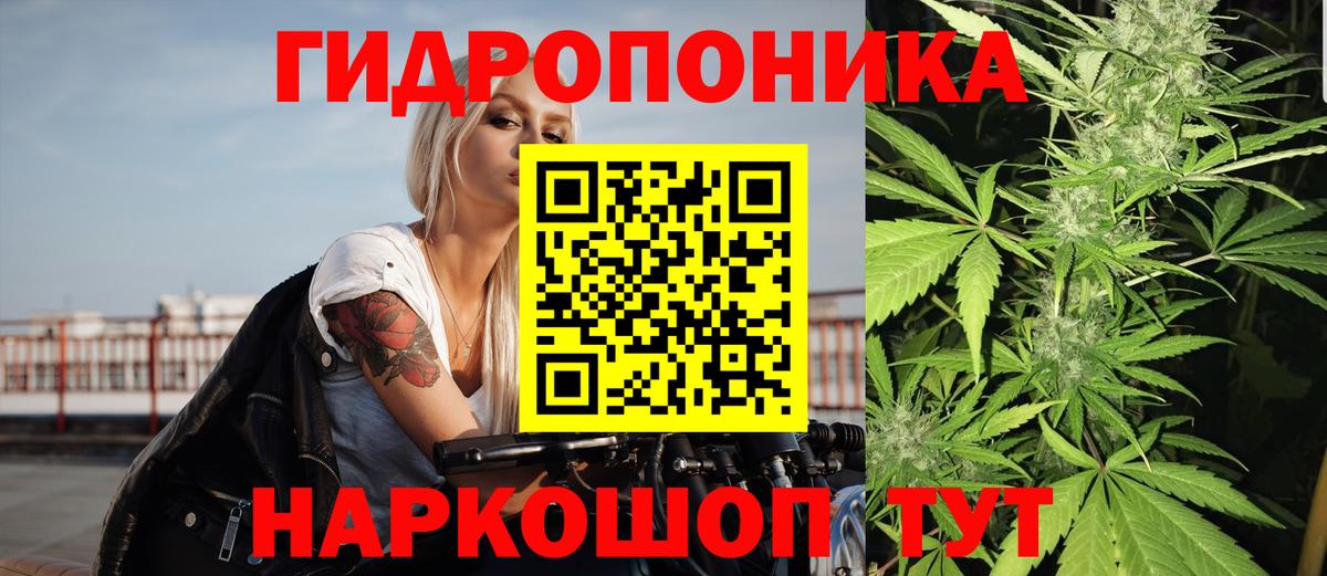 Заводоуковск  Шишки марихуана план  Вход с VPN  Бошки Шишки LSD WEED  Конопля AK-47 